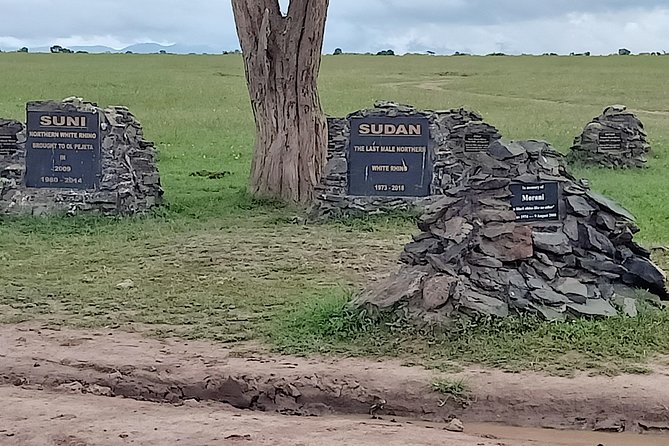 Vegans special safari - The Great Rift Valley and Maasai Mara