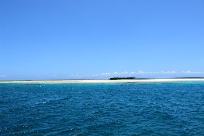 Wasini Day Tour - Shimoni Pier and the traditional dhow