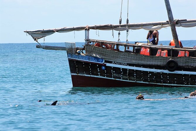 Wasini Dolphin Snorkeling - What the $130 price really buys