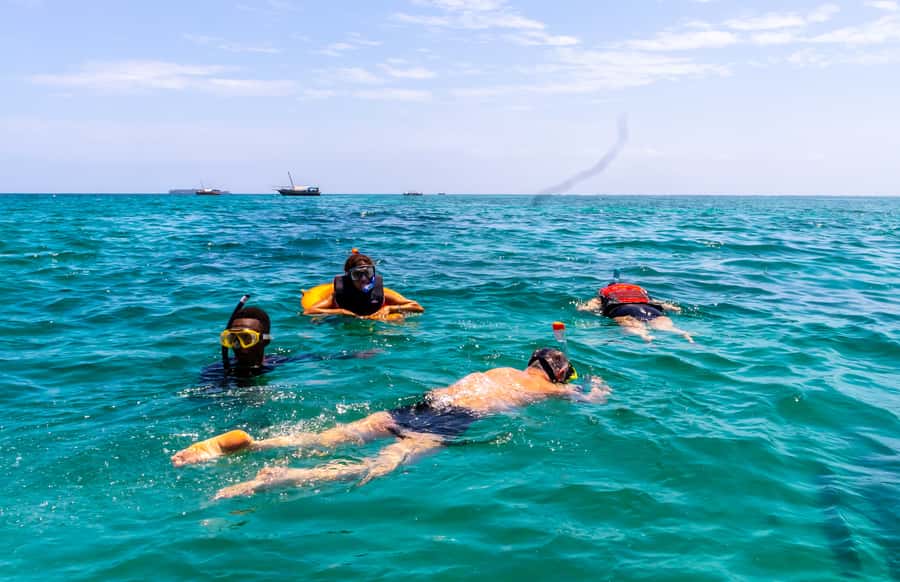 Wasini Island: Dolphin Spotting & Snorkel at Kisite Mpunguti - Why this coastal day trip works