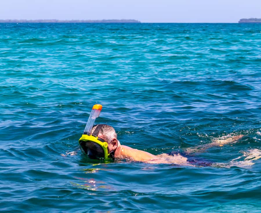 Wasini Island: Dolphin Spotting & Snorkel at Kisite Mpunguti - Snorkeling at Kisite Mpunguti Marine Park
