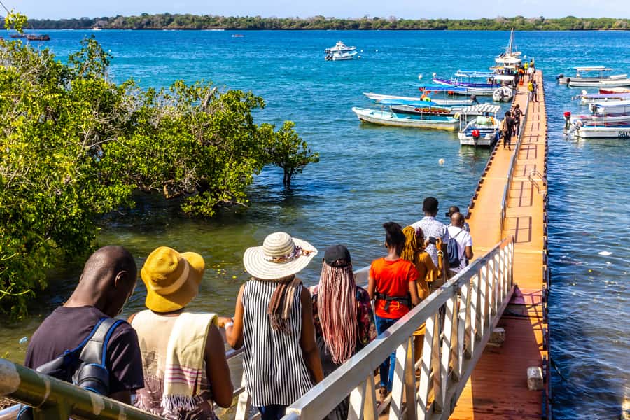 Wasini Island: Dolphin Spotting & Snorkel at Kisite Mpunguti - The Shimoni slave caves option