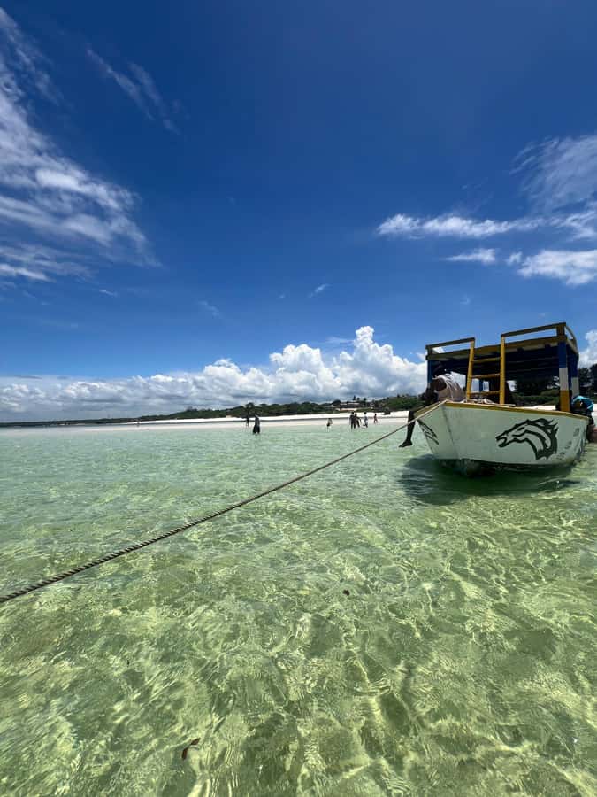 WATAMU: MALINDI: SARDEGNA ISLAND & MALINDI MARINE PARK - Is $100 a fair price?