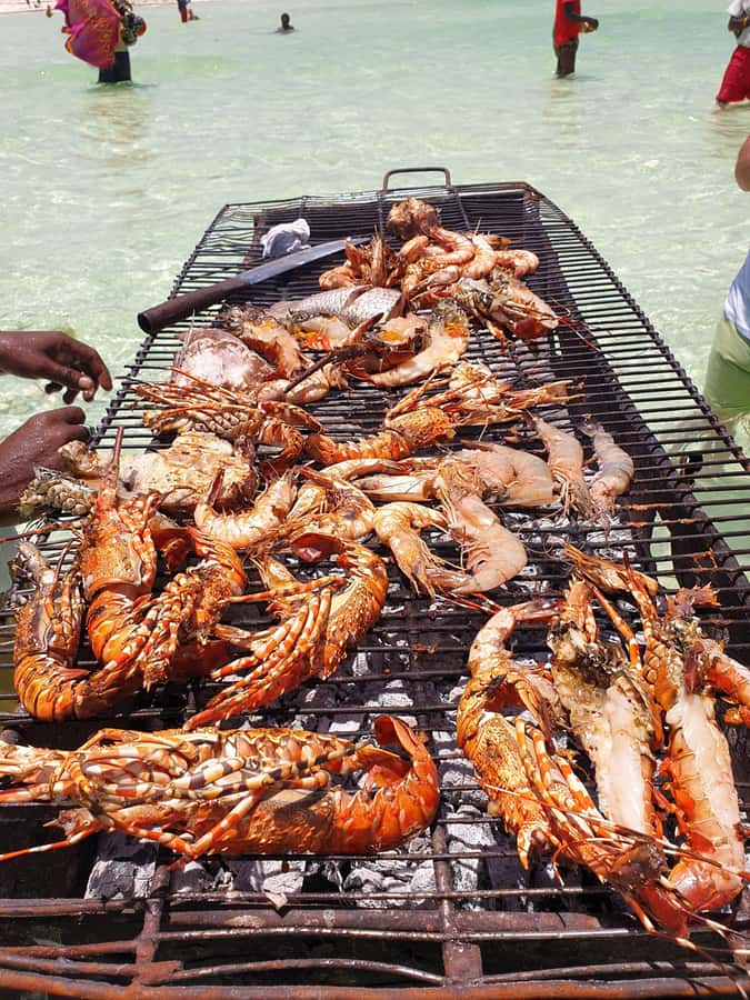 WATAMU: MALINDI: SARDEGNA ISLAND & MALINDI MARINE PARK - Who should book this experience?