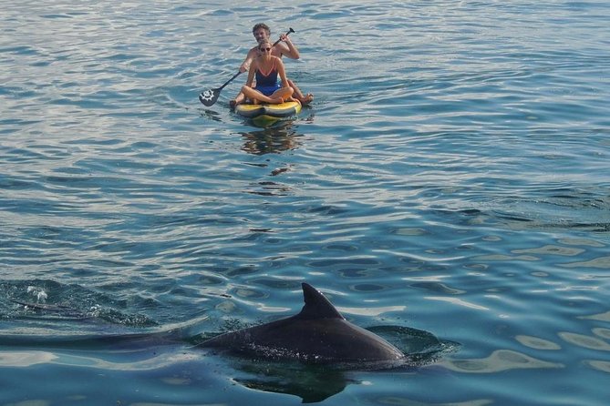 Watamu Marine Park & Sudi Island Mangrove Forest Canoe Ride.With sea food lunch - Why Watamu makes a worthwhile day trip from Mombasa