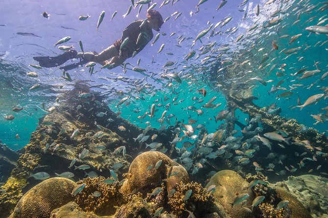 Watamu Marine Park & Sudi Island Mangrove Forest Canoe Ride.With sea food lunch - Canoeing through Sudi Island’s mangrove forest