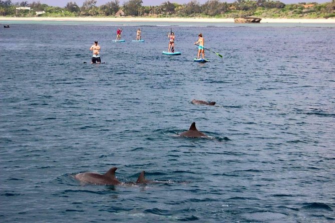 Watamu Marine Park & Sudi Island Mangrove Forest Canoe Ride.With sea food lunch - Guides, group size, and the pace of the day