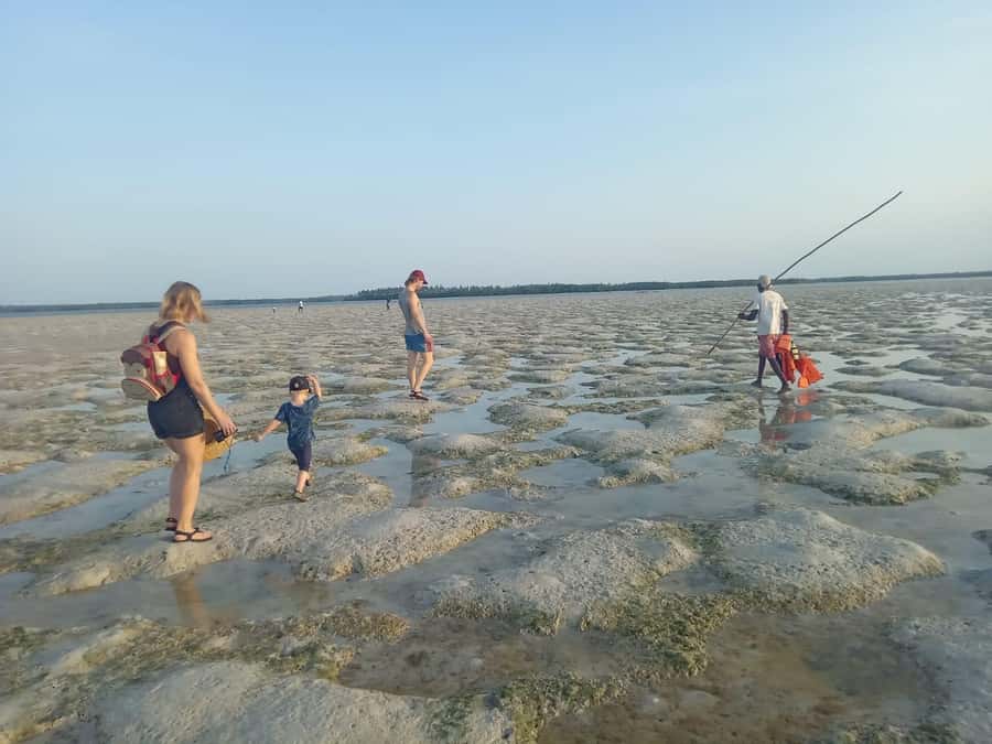 Watamu: Sunset Mangrove Canoe Tour with Coconut Drink - Taking the traditional dugout canoe into Mida Creek
