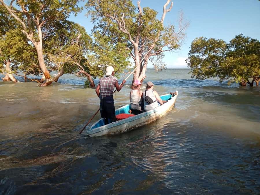 Watamu: Sunset Mangrove Canoe Tour with Coconut Drink - Choosing low tide or high tide